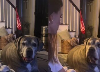Dog Wasn’t Ready for Mom To Ask About His Love Life
