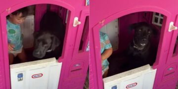 Neighbor’s Dog Does Whatever the Kids Say, So Now He’s Playing House
