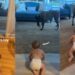 Dog Steals His Tiny Human’s Toy — Being Best Friends Seems to Come With Borrowing Rights
