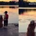 Golden Retriever Sits Next to Toddler as They Watch a Beautiful Sunset, Right Where He Belongs