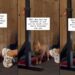 Dog’s Awkward Wait for Mom to Finish Exercising Feels Like Every Shy Gym-Goer