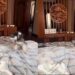 Dog Treats Waking Up His Human Like a Job He Absolutely Cannot Skip