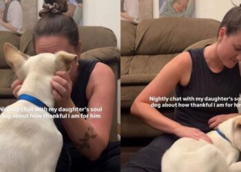 Dog Listens as Mom Thanks Him for Loving Her Daughter — Some Good Boys Deserve a Speech