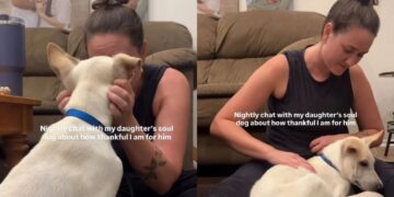Dog Listens as Mom Thanks Him for Loving Her Daughter — Some Good Boys Deserve a Speech