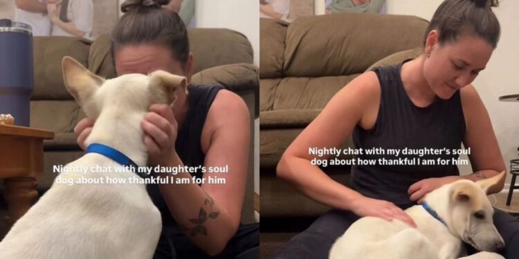 Dog Listens as Mom Thanks Him for Loving Her Daughter — Some Good Boys Deserve a Speech