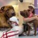 Someone Gave up on This Shelter Dog Until She Faced Her Final Days & the Unthinkable Happened