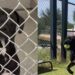 Young Shelter Dog Is Returned After Losing His Home & Now Needs a Second Chance