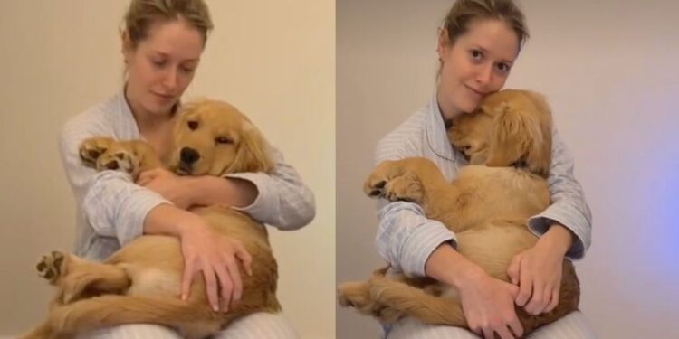 Golden Retriever Hides in Mom’s Arms by the Stairs Because Being Brave Can Wait Until Tomorrow