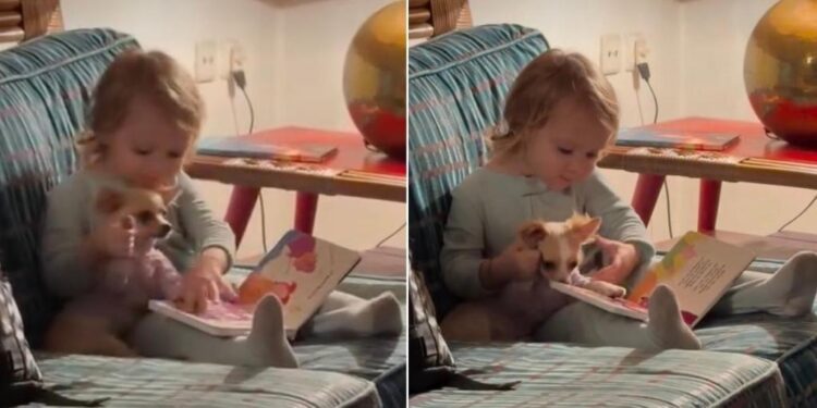 Dog & Tiny Human Settle In for Story Time, & He’s Taking His Page-Turning Duties Seriously