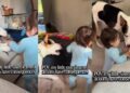 Dog Accidentally Teaches Toddler a Very Important Life Lesson