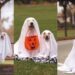 Golden Retriever Puppy Holds the Perfect Ghost Pose, Making Halloween Look More Cute Than Scary