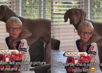 Boy & His Dog Have the Kind of Friendship Mom Has to Stop & Film