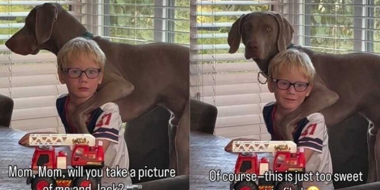 Boy & His Dog Have the Kind of Friendship Mom Has to Stop & Film