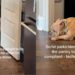 Clever Dog Finds a Hilarious Workaround After Being Told to Stay Out of the Kitchen