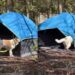 Dog Discovers Camping Comes With a Tent & Decides That’s Enough Outdoors