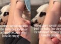 Dog Hears Mom Talking About Feeding Tiny Human Like Someone Has Forgotten Who the Original Baby Is