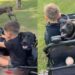 Neighbor’s Dog Hops in for a Ride With the Kids Like He’s Always Been Part of the Plan