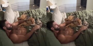 Rescue Dog Wants Dad-Time Cuddles but Refuses To Leave the Foster Dog Out